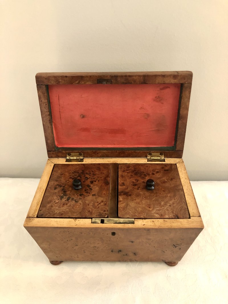 Antique Regency Sarcophagus Shaped  Burr Elm Tea Caddy - Image 2